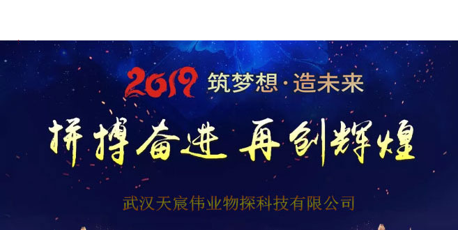 武汉天宸伟业物探科技有限公司2019新春年会圆满举行
